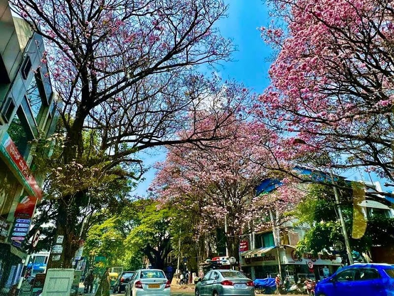 Jayanagar